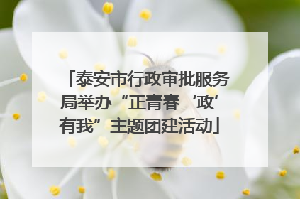 泰安市行政审批服务局举办“正青春‘政’有我”主题团建活动